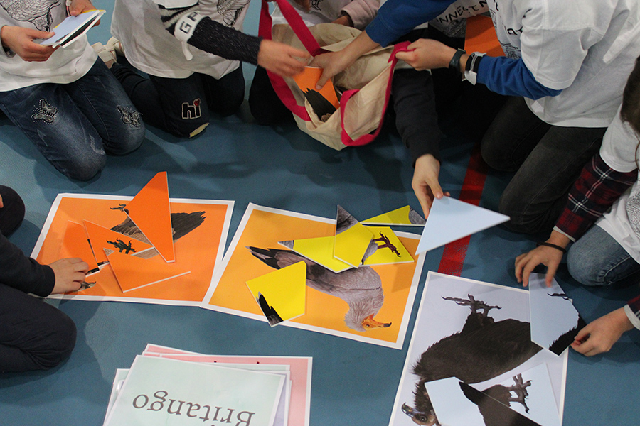 Ações do Programa Escolar do projeto Sentinelas sensibilizam alunos de Miranda do Douro para importância das aves necrófaga